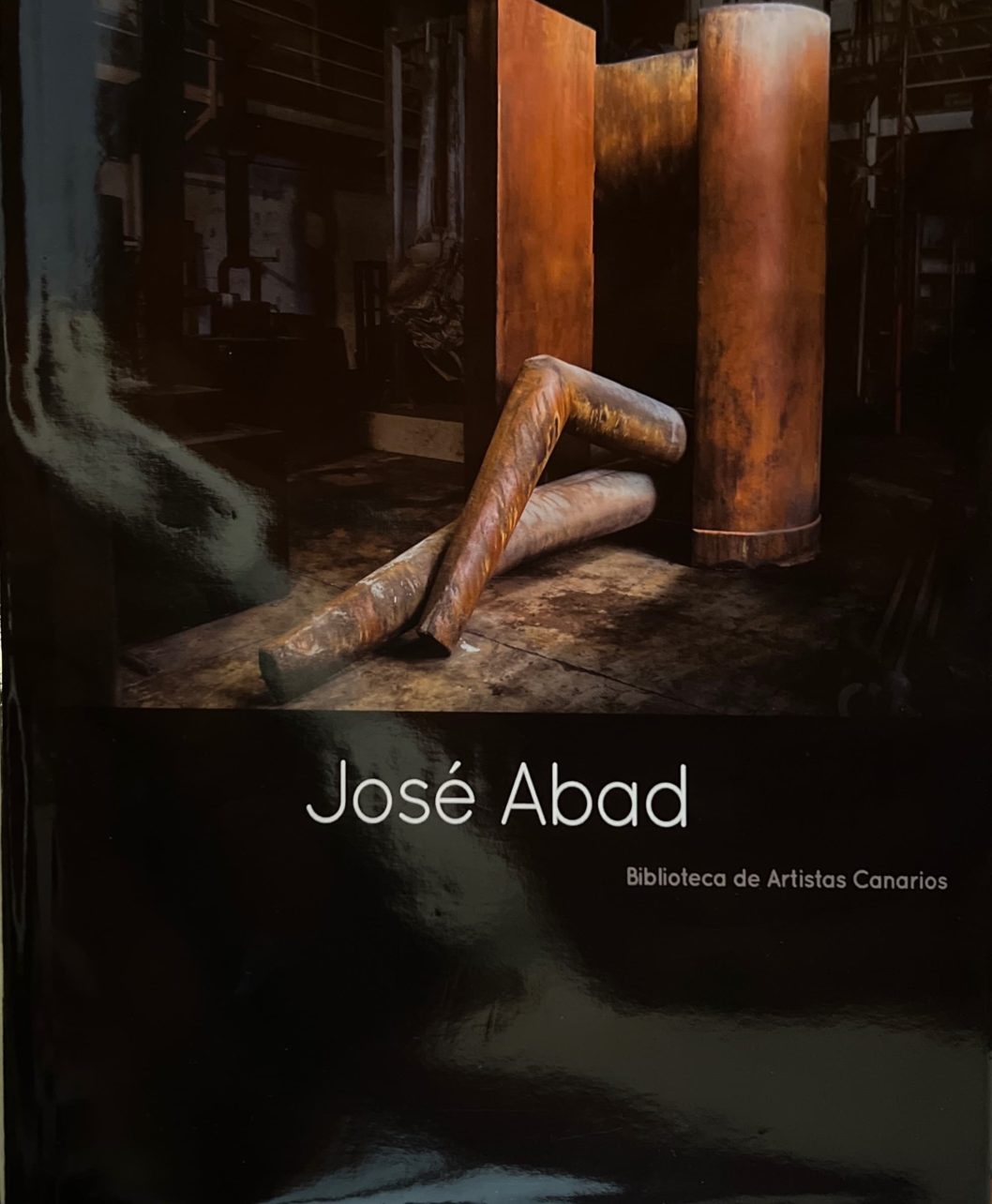 Libro «José Abad»