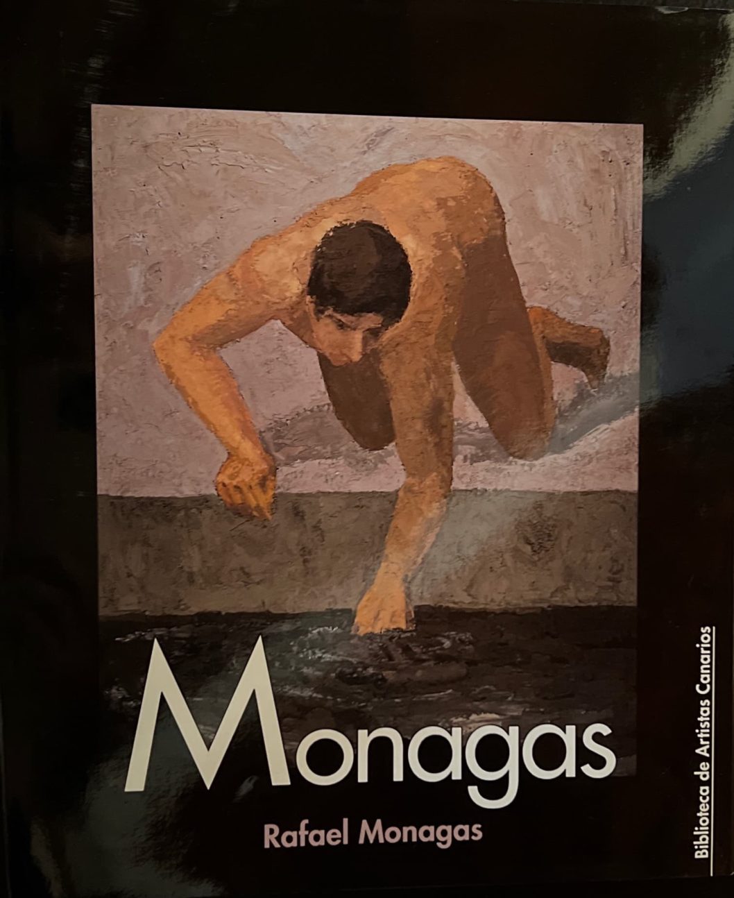 Libro «Monagas»