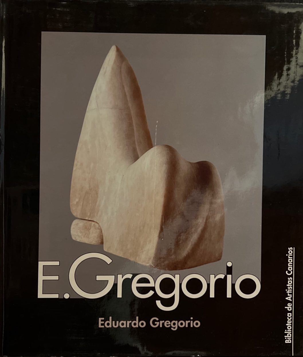 Libro «E. Gregorio»