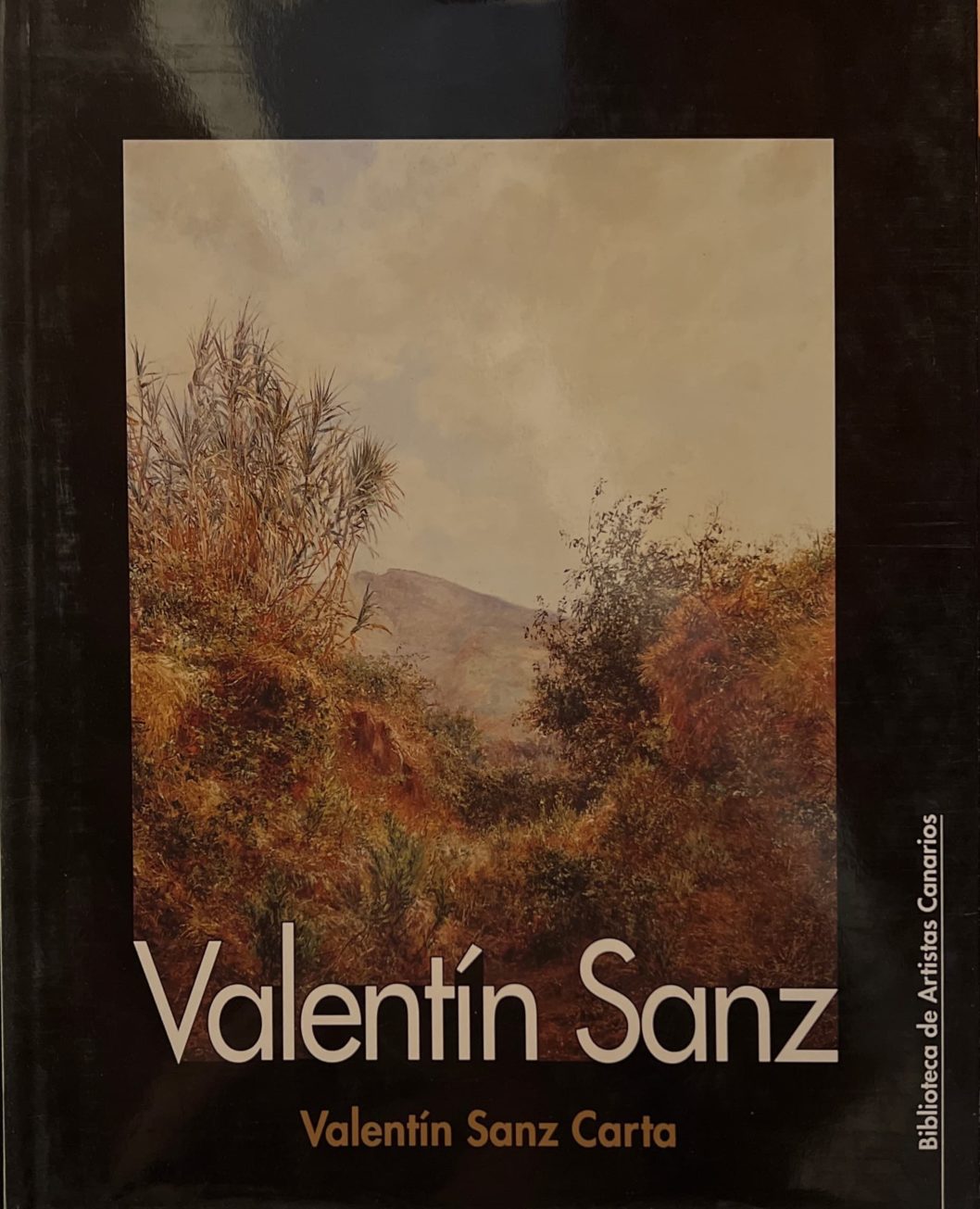 Libro «Valentín Sanz»