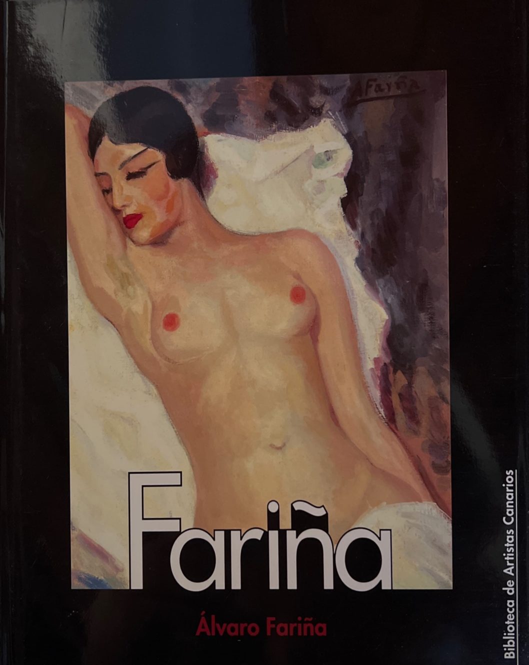 Libro «Álvaro Fariña»